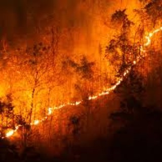 O que são as mudanças climáticas? As mudanças climáticas são transformações a longo prazo nos padrões de temperatura e clima. Saiba mais nessa página especial das Nações Unidas sobre o tema.